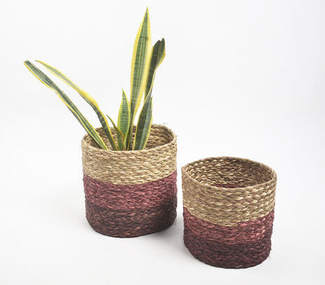 Earthy Sabai Grass Handwoven Planters (Set of 2)